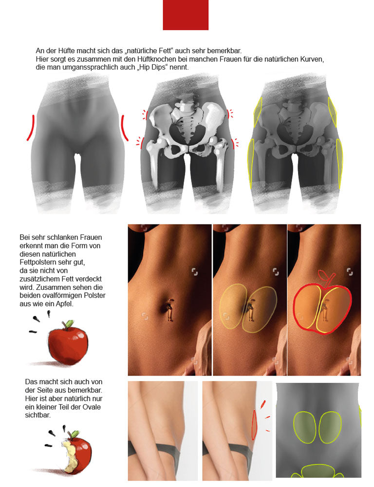 Anatomie zeichnen like a Sir